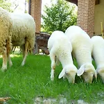 Viticcio Feriegård *