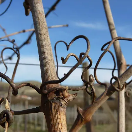 Viticcio Κατάλυμα σε φάρμα