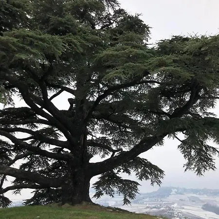 Κατάλυμα σε φάρμα Viticcio La Morra