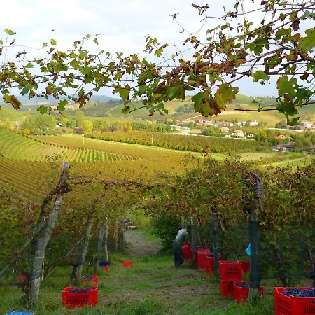 Κατάλυμα σε φάρμα Viticcio