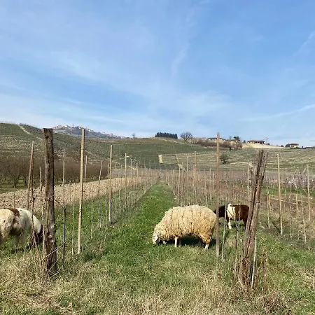 Viticcio Farm stay