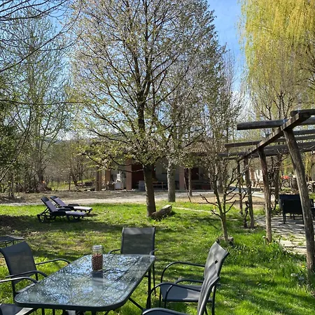 Viticcio Farm stay La Morra