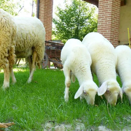 Viticcio Lantgård *