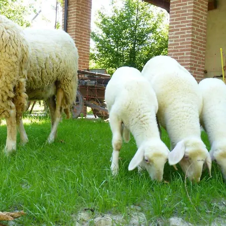 Viticcio Farm stay *
