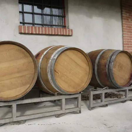 Viticcio *