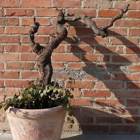 Viticcio Farm stay *