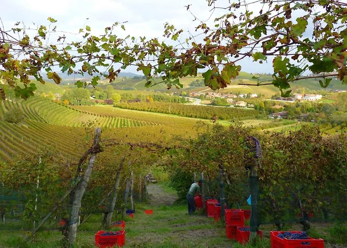 Farmház Viticcio