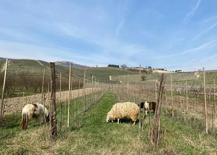 Viticcio Farmház