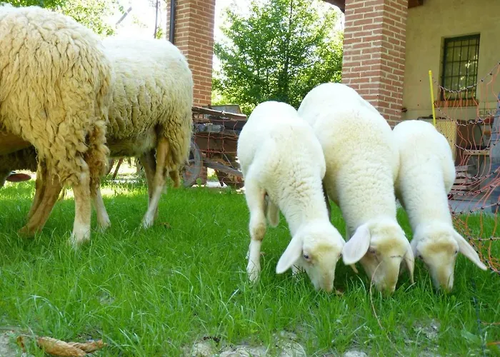 Viticcio Farmház *